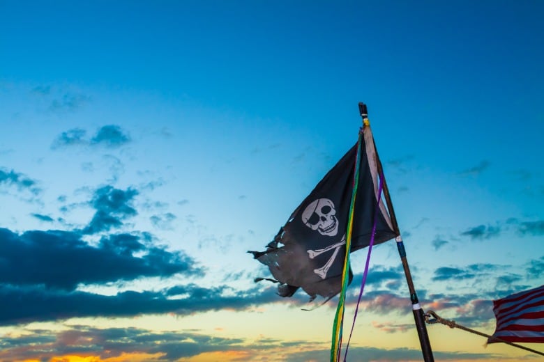 Things To Do Pirates of Charleston